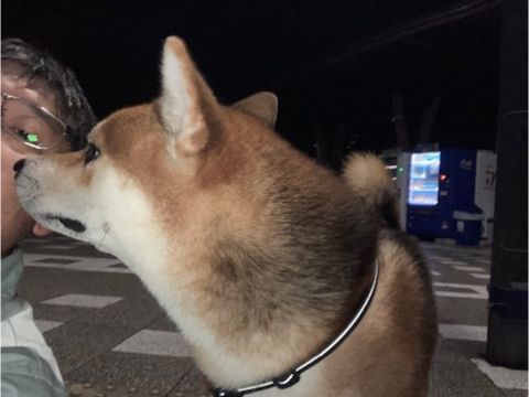 播磨町リノベーション