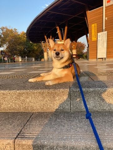 播磨町　かわいい家