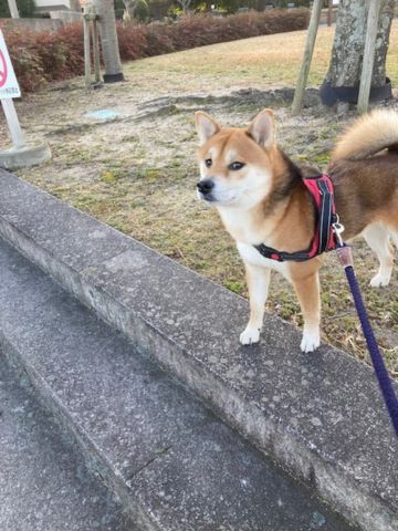 播磨町工務店