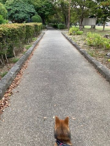 播磨町　工務店