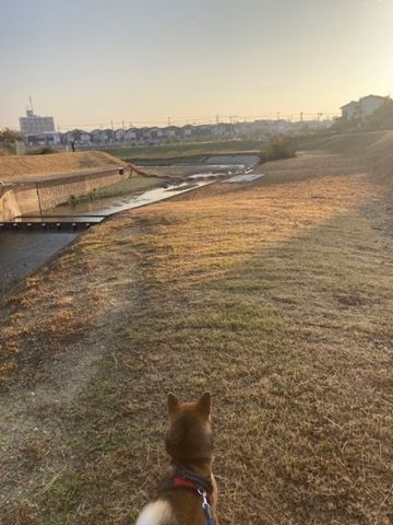 播磨町　リノベーション