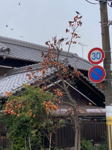 播磨町　工務店