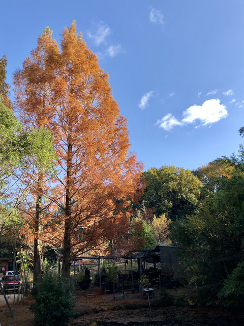 若生植木農園