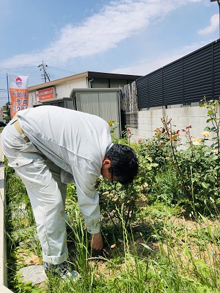 草引き中